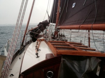 Hoppetosse auf der grauen Ostsee