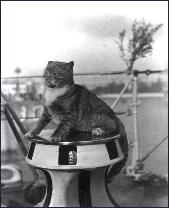 Die Schiffskatze der USS Flusser “Wockle” auf dem Ankerspiel, Venedig, Italien, um 1924