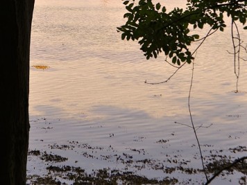 Thurø Bund Ankern und Landgang